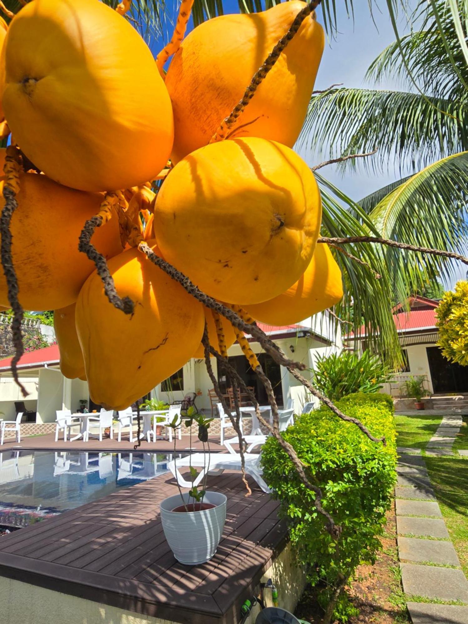 Emma'S Guest House And Self-Catering Au Cap Exterior photo